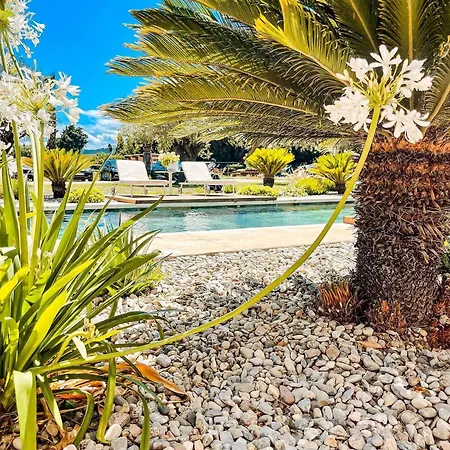Mas El Chaparo Villa *