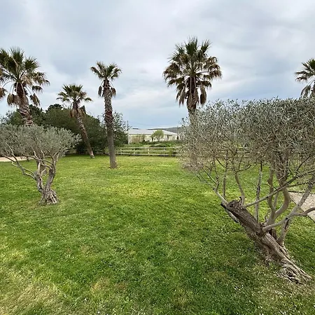 Villa Mas El Chaparo Camelas